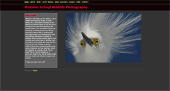 Desktop Screenshot of malcolmschuyl.com