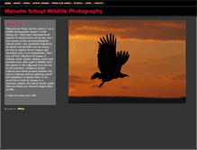 Tablet Screenshot of malcolmschuyl.com